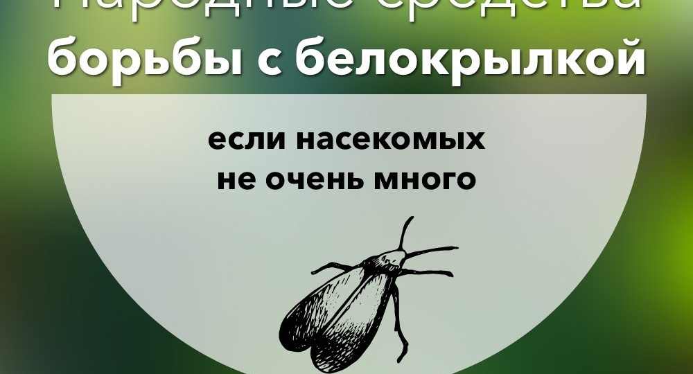 Насекомые-вредители быстро приспосабливаются к различным химическим инсектицидам