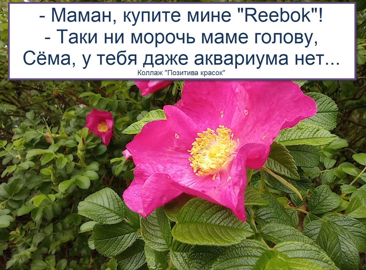 коллаж "Позитива красок", фото автора