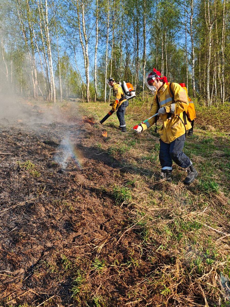 📸 Дарья Давыдова, команда добровольных лесных пожарных «Симаргл»
