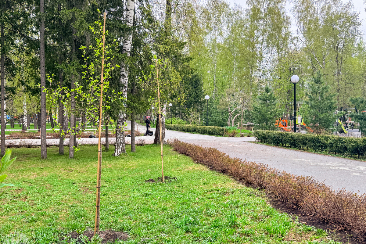    Фото: Дирекция городских парков