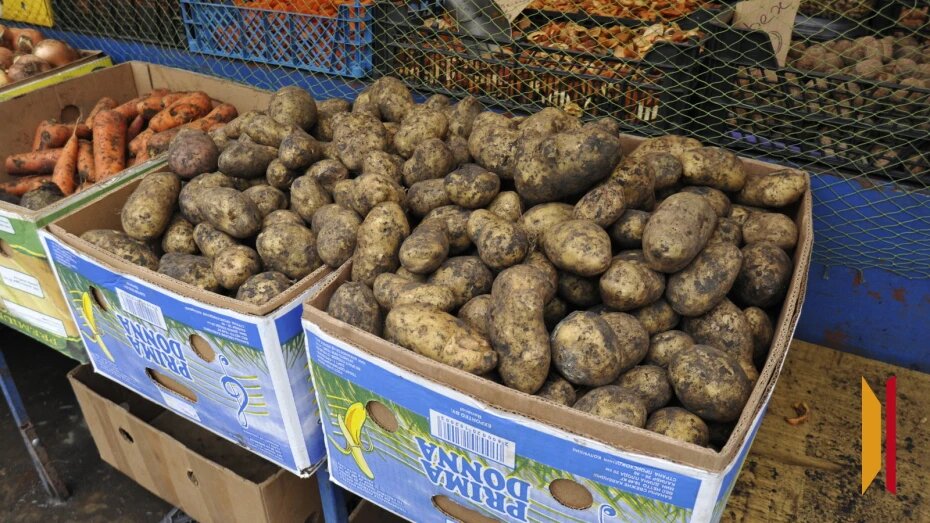    Автор фото: Михаил Кирьянов (из архива)