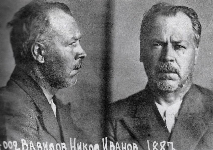 Николай Иванович Вавилов 