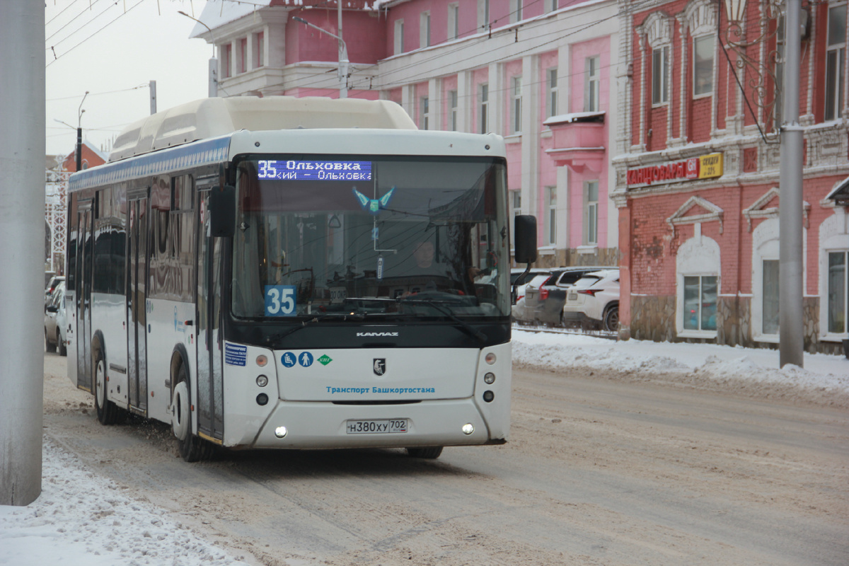 Автор: Гульнара Зайнитдинова (Газета "Ашкадар")