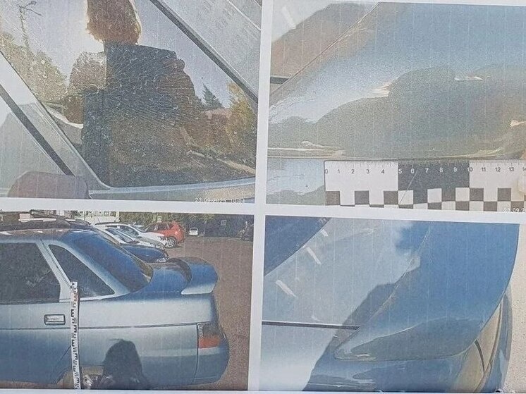     Фото: ОПСС Курской области из материалов дела