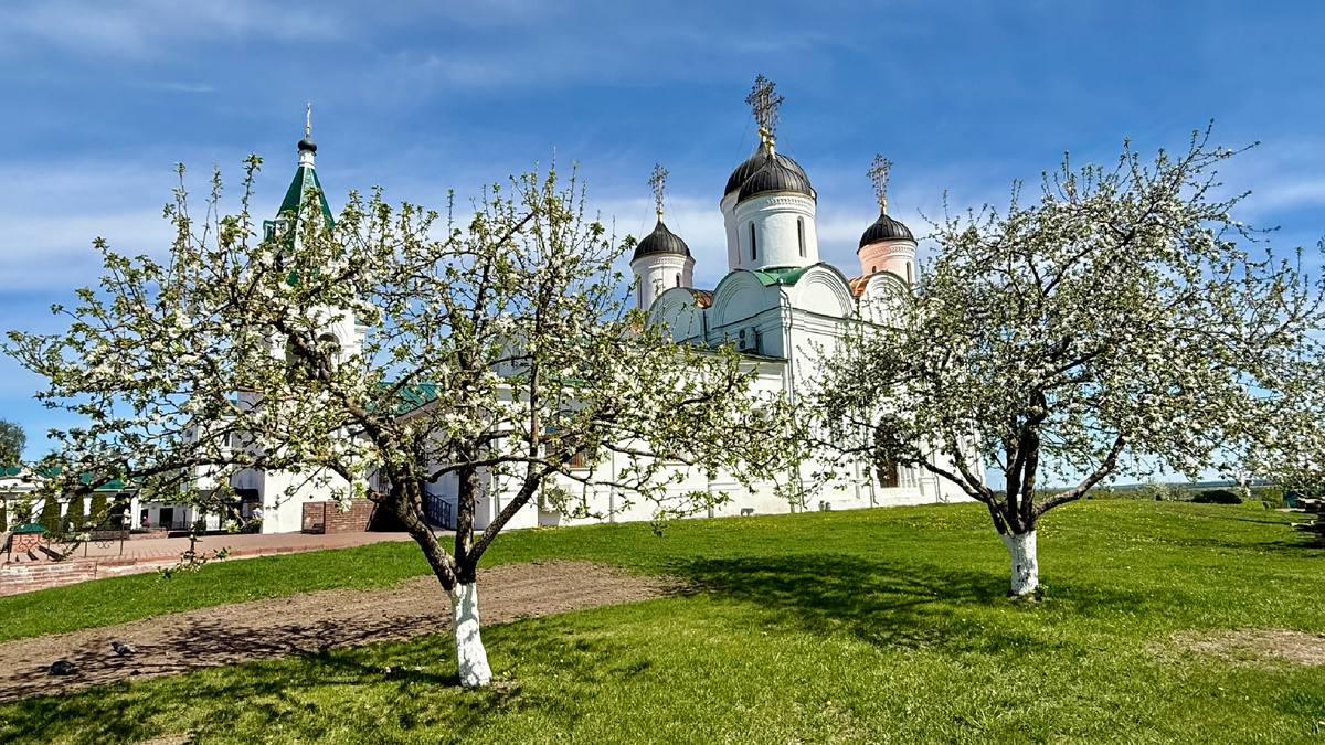 Спасо-Преображенский мужской монастырь. Источник: архив автора.
