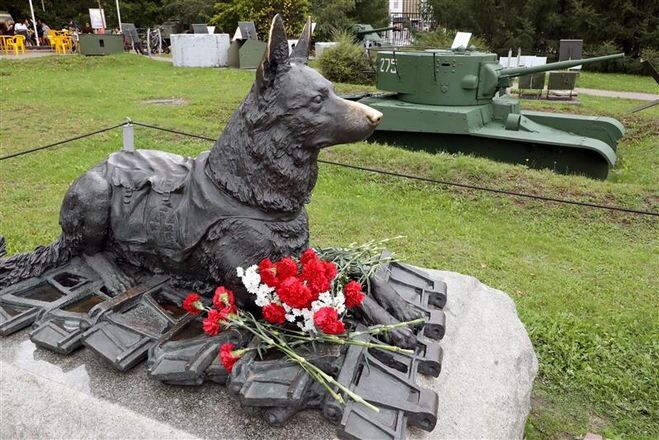 Памятник фронтовой собаке на Поклонной горе в Москве