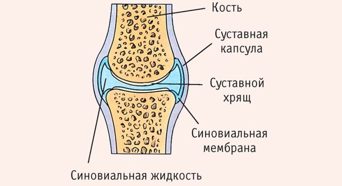 фото из открытого источника