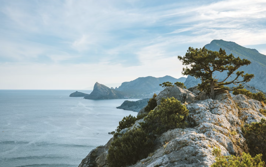  Nikolay Vorobyev/Unsplash