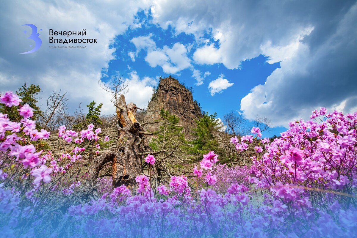 Автор фото:Фотограф Виталий Берков специально для «Вечернего Владивостока»
