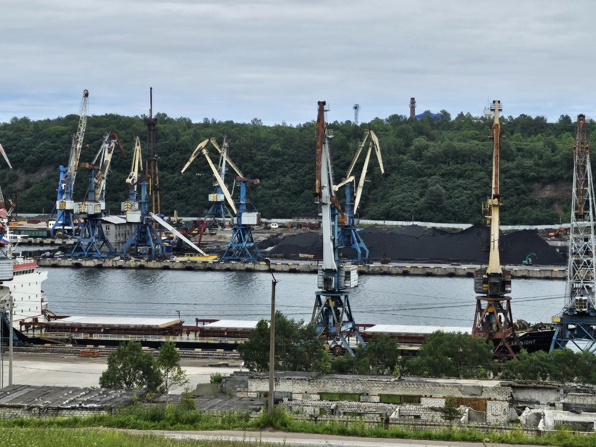 Эльга» достигла рекордных показатели месячной отгрузки угля / Фото: Vostok.Today.