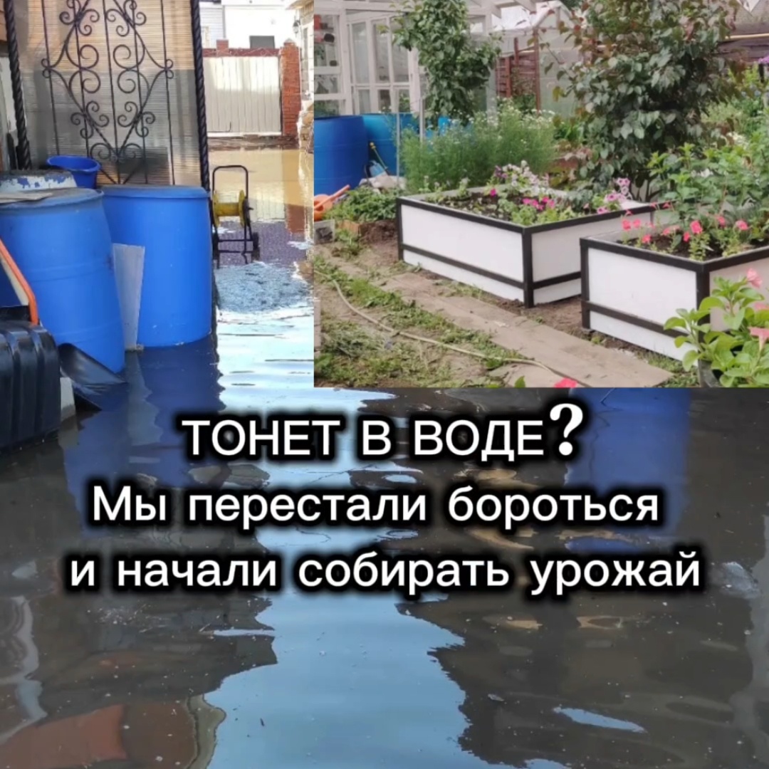 Участок тонет в воде?