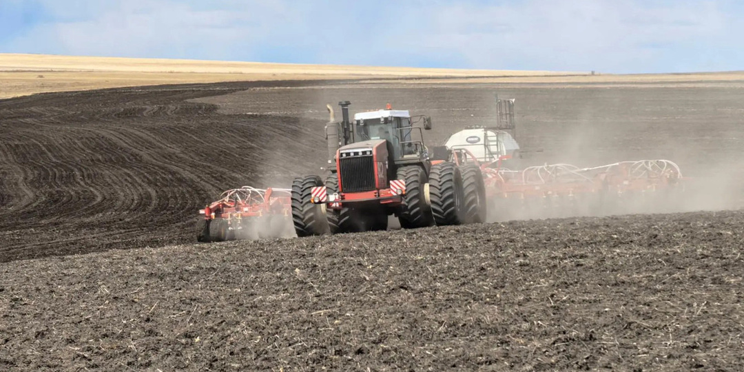 Племенной завод «Комсомолец» первым засеял 5 тысяч га рапса в Забайкалье