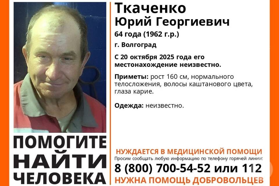    Фото: отряд "ЛизаАлерт"