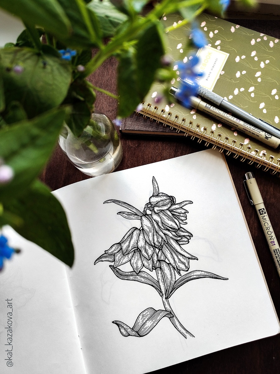Рябчик камчатский. Рисунок линерами в скетчбуке.