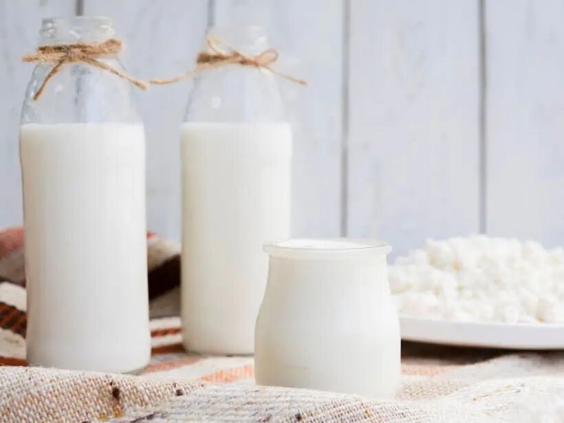  У каждого из продуктов свой уникальный набор пробиотиков и особые полезные свойства   © Freepik