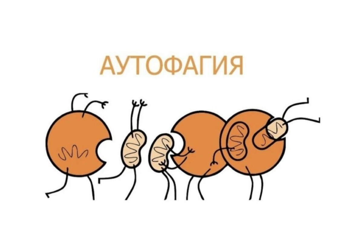 Источник: Pinterest 