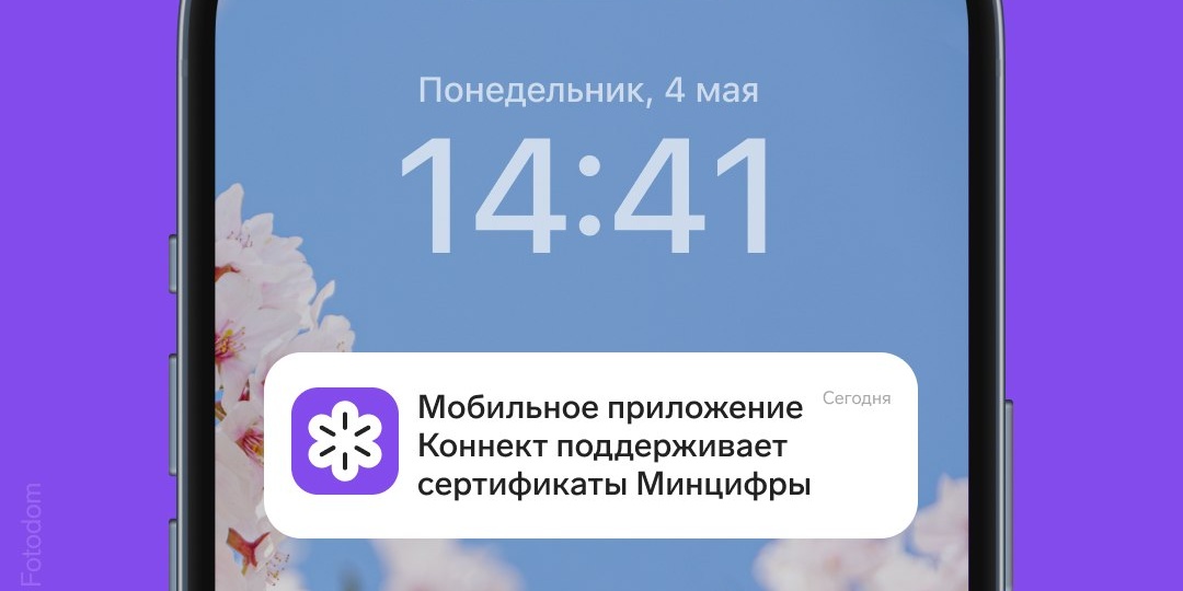 Коннект от Контур.Эгиды начал поддерживать сертификаты Минцифры РФ