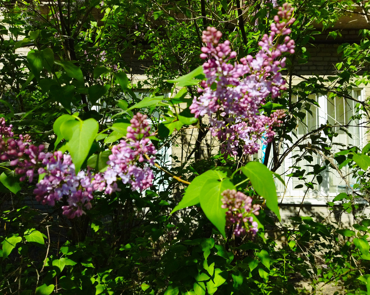 ФОТО АВТОРА