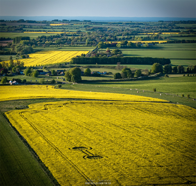 29.04.2026 г. Круги на полях Англии. Графство Уилтшир. https://www.cropcircleconnector.com/2026/2026.html