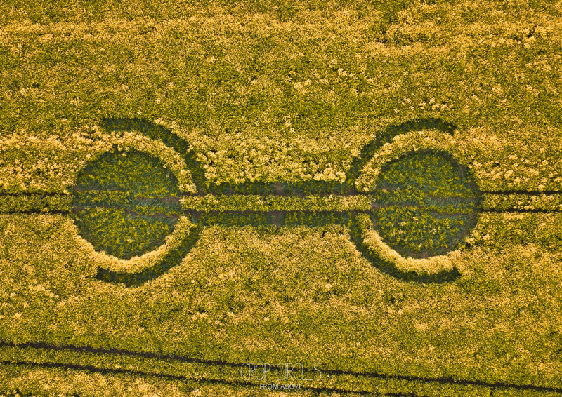 29.04. 2026 г. Круги на полях Англии. Графство Уилтшир. https://www.cropcircleconnector.com/2026/wadenhill/wadenhill2026a.html