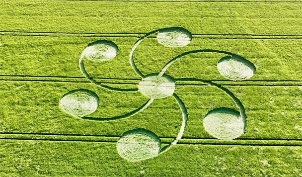10.05.2026 г. Круги на полях Англии, графство Сомерсет. https://www.cropcircleconnector.com/2026/rumours2026.html