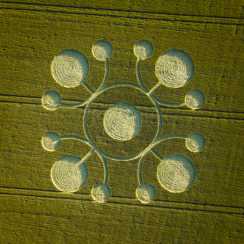22.05.2026 г. Круги на полях Англии, графство Уилтшир. https://www.cropcircleconnector.com/2026/white/white2026a.html