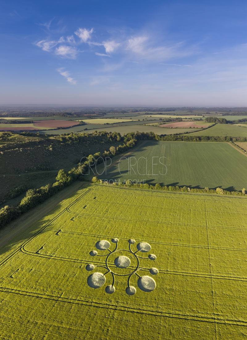 22.05.2026 г. Круги на полях Англии. https://www.cropcircleconnector.com/2026/white/white2026a.html