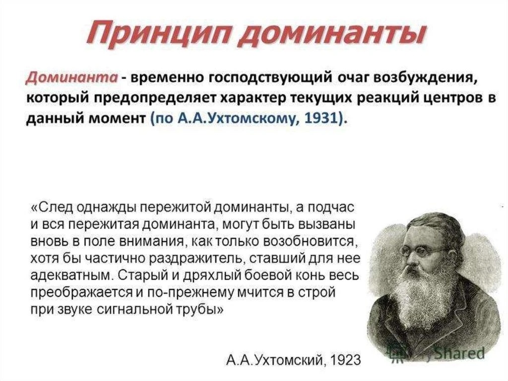 Фото из открытых источников интернета 