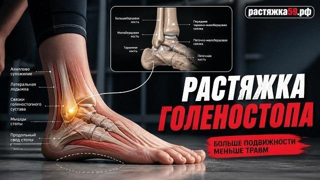    Растяжка голеностопа — как укрепить голеностопный сустав и связки (упражнение с валиком