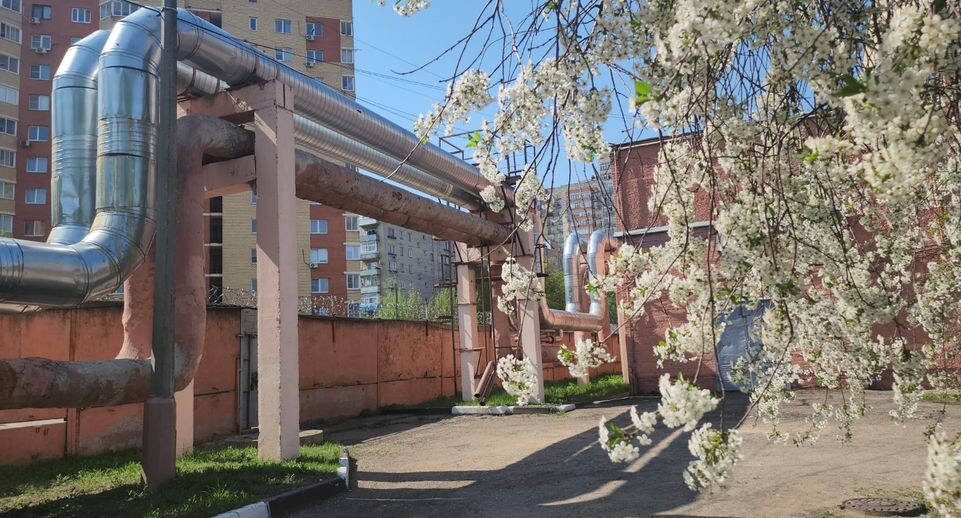    МедиаБанк Подмосковья/Наталья Лымарь