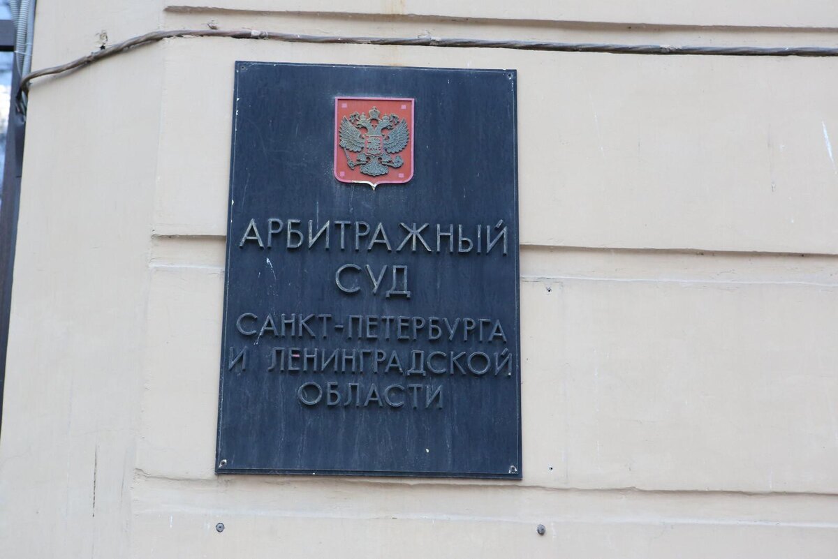 Фото: Дмитрий Фуфаев / «Петербургский дневник»