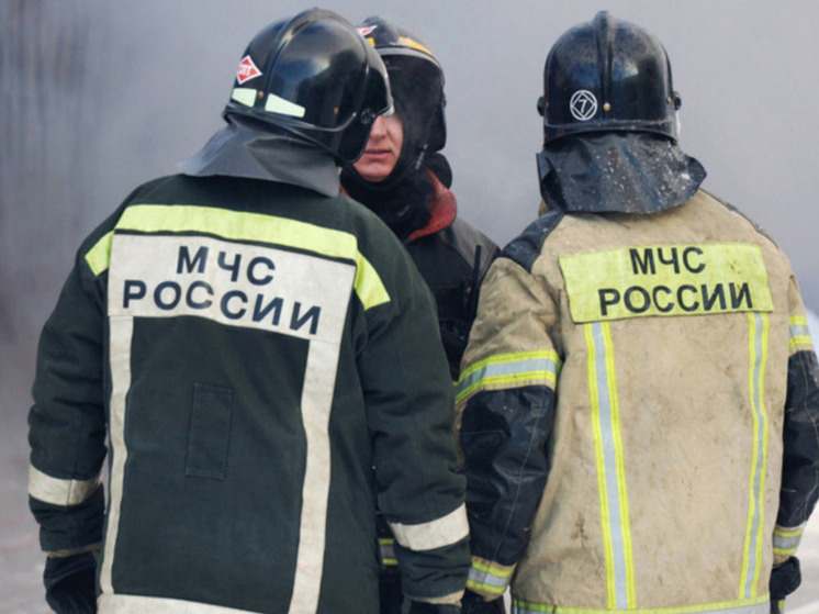     Фото: Ekaterina Sychkova/URA.RU/Global Look Press