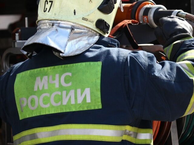    Фото: портал мэра и правительства Москвы
