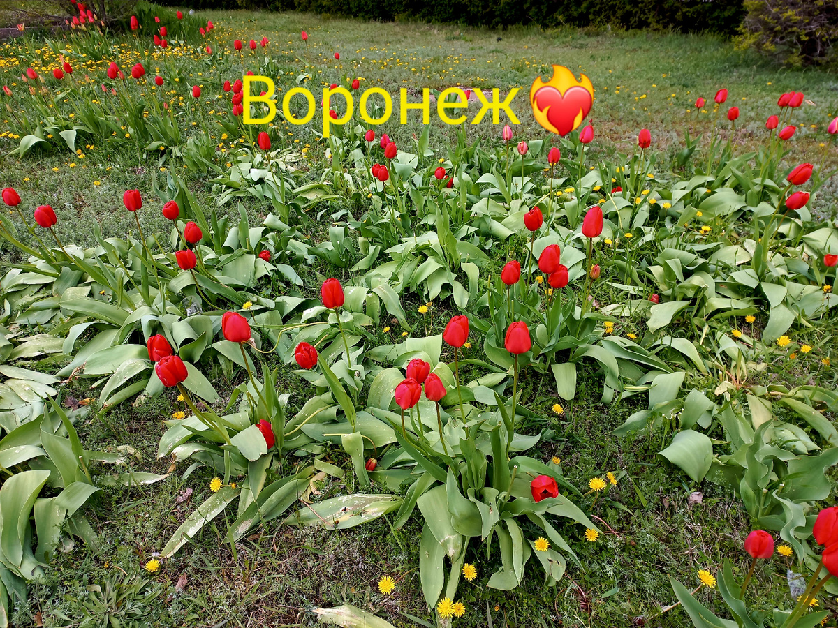 Фото личное