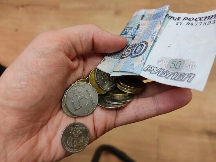     Мужчина отправил донат 700 рублей. Фото: архив МК в Питере