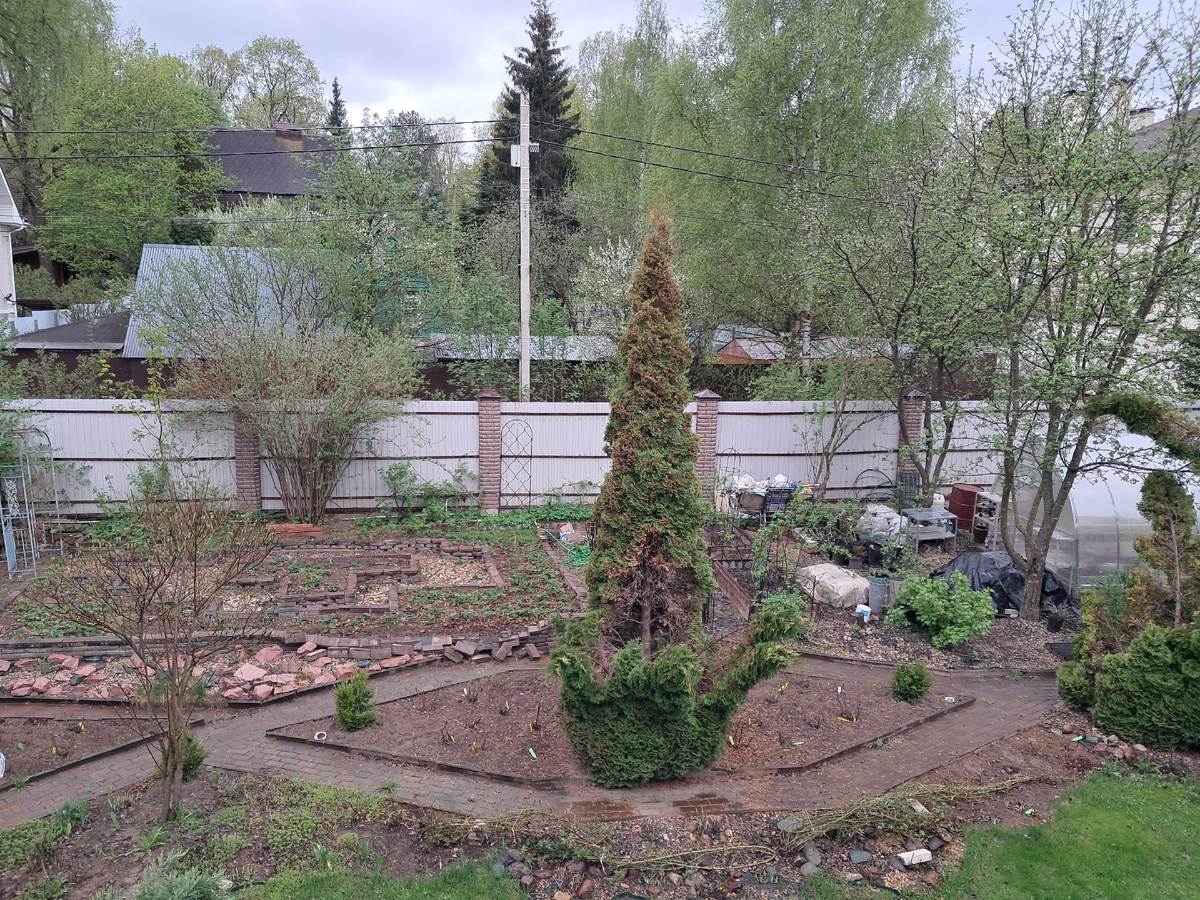 Тот же вид 7 мая 2026 г.