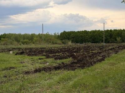Около Кумысной поляны в Саратове появится питомник для выращивания растений