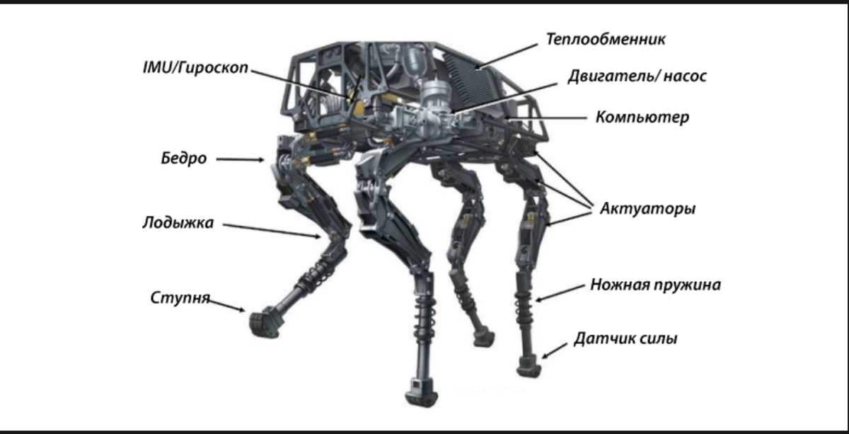 Основные элементы конструкции BigDog. Фото: https://habr.com/ru/smileexpo/