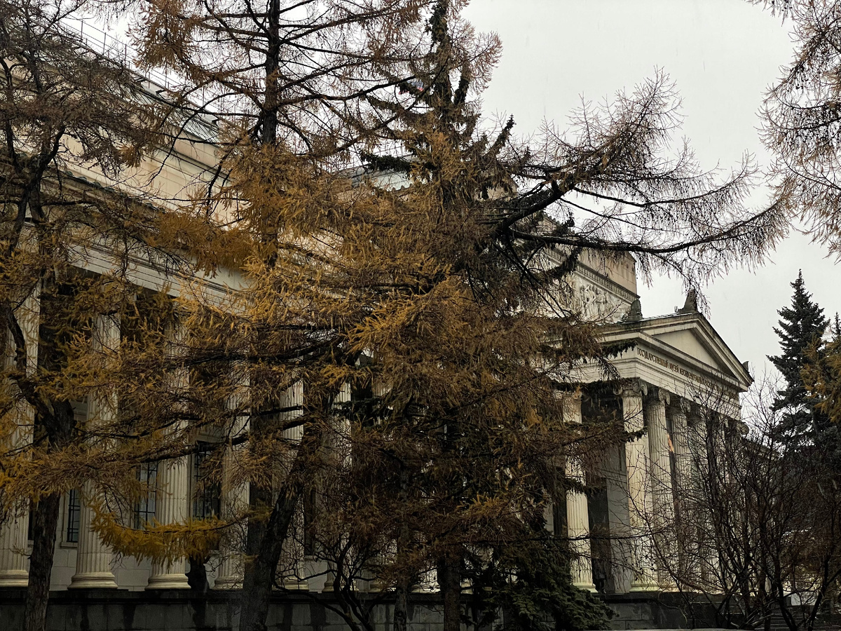 пушкинский музей москва