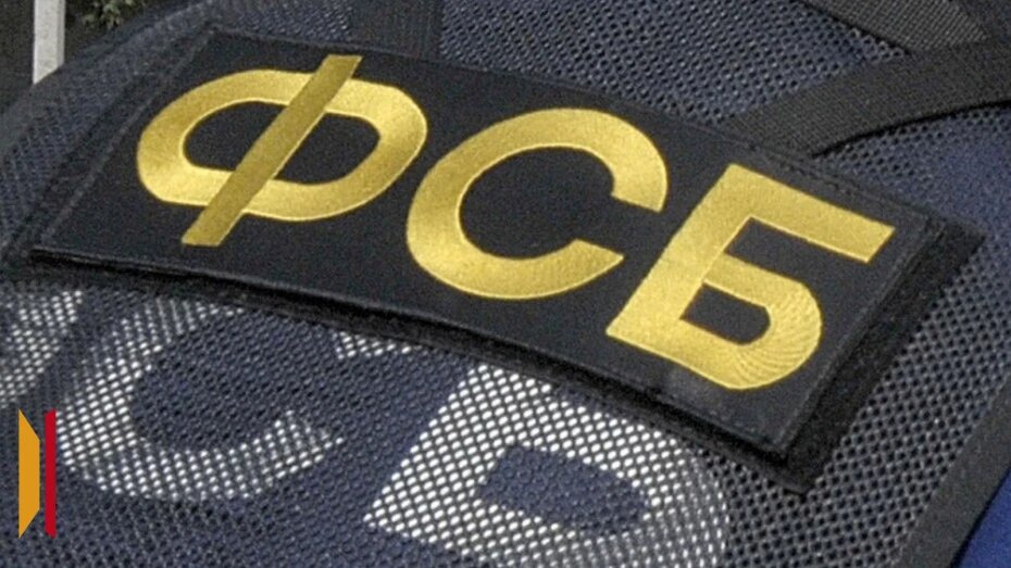 В Воронежской области пресекли деятельность двух каналов наркотрафика