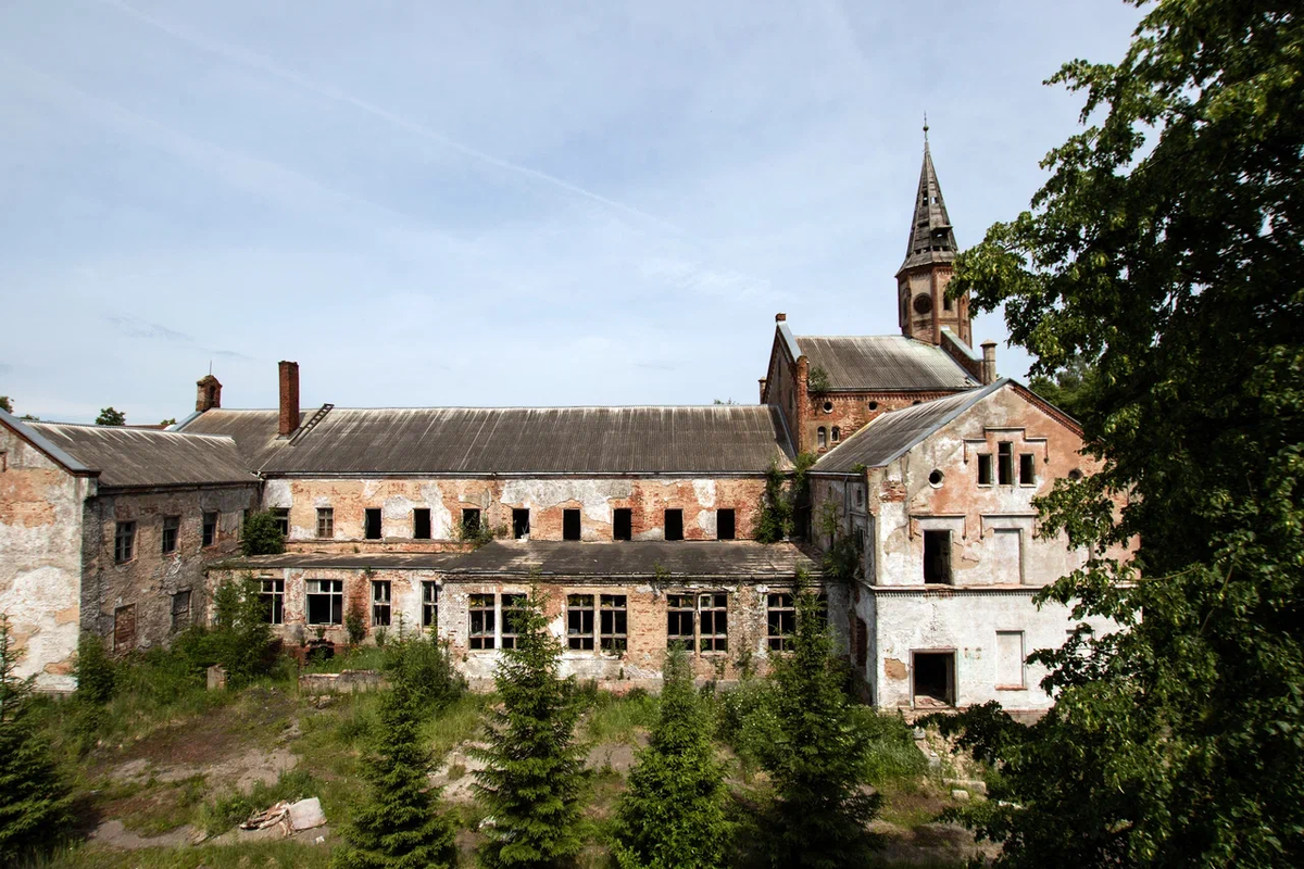 Фото rugrad