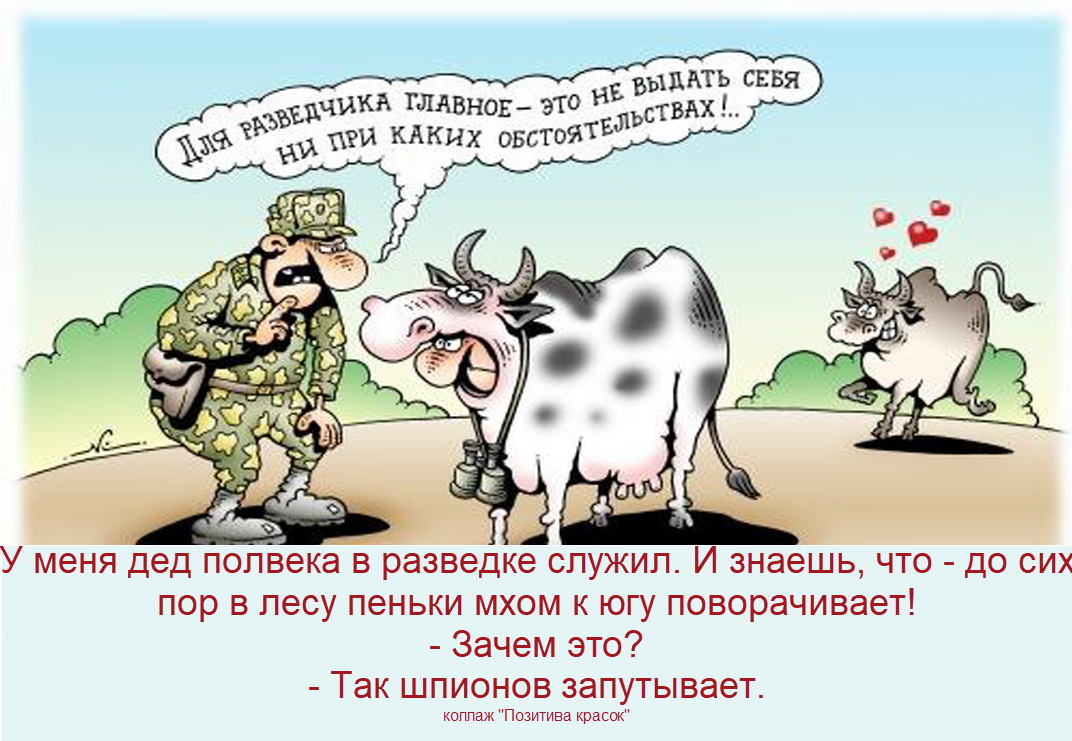 рисунок И. Кийко, коллаж "Позитива красок"