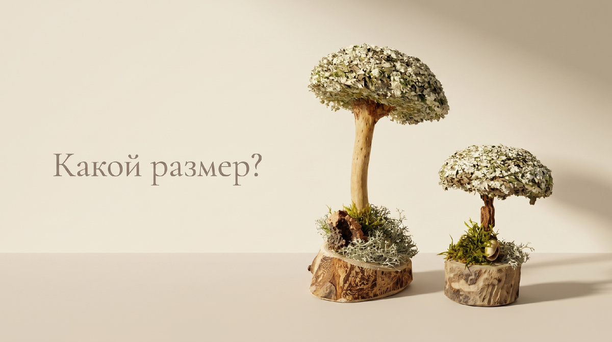 Готовые изделия из цетрарии (исландский мох) смотрите в ВКонтакте — vk.com/cetrarium_ru