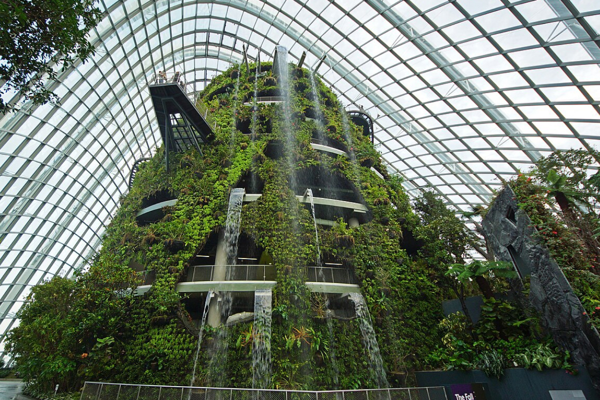Что такое Cloud Forest. Источник фото - commons.wikimedia.org