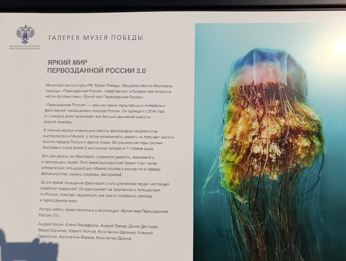 Начало галереи о природе России.