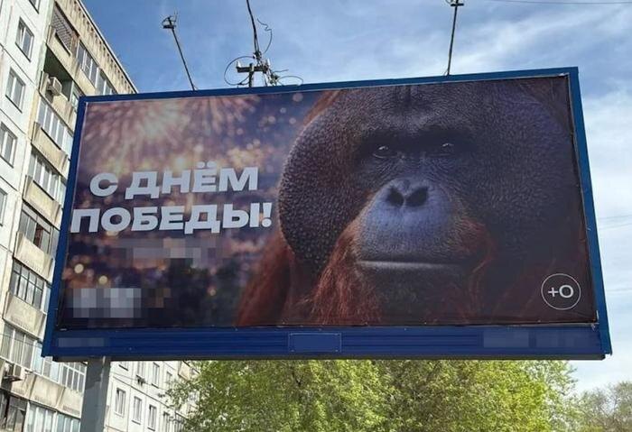 Обложка © Mash