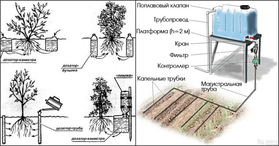 автополив
