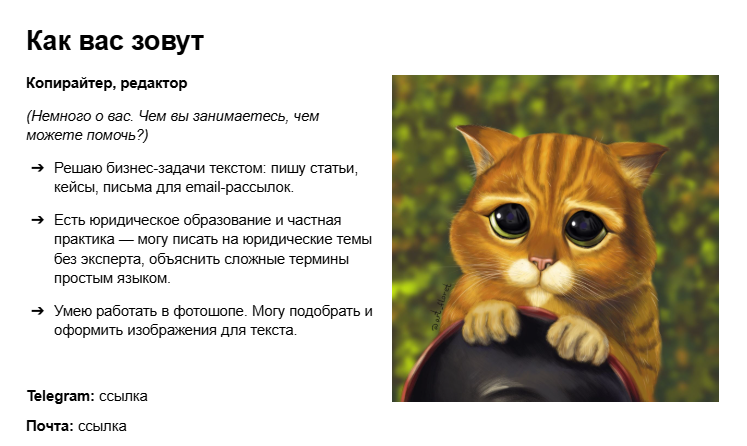 Аватарка с котом или персонажем аниме — тоже не конец света, но доверия она особо не добавляет. Поэтому в нашем шаблоне она — только для примера =)