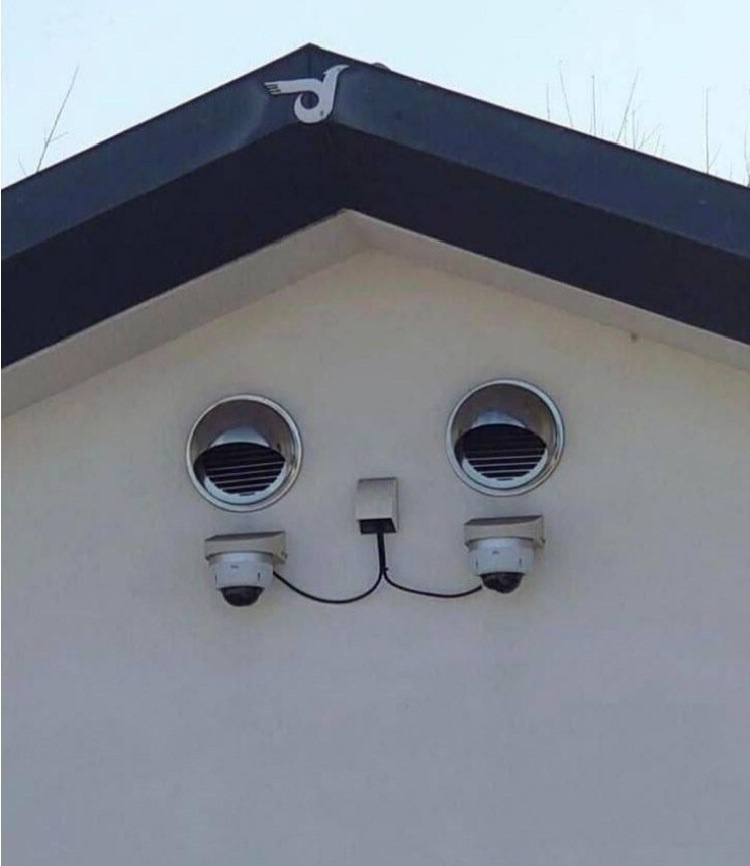 Кот, застрявший между стеной и небом.
