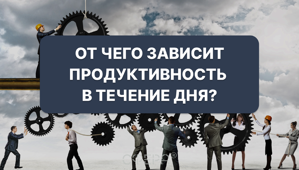 От чего зависит суточная продуктивность организма: данные диагностики «Лотос-Оникс»